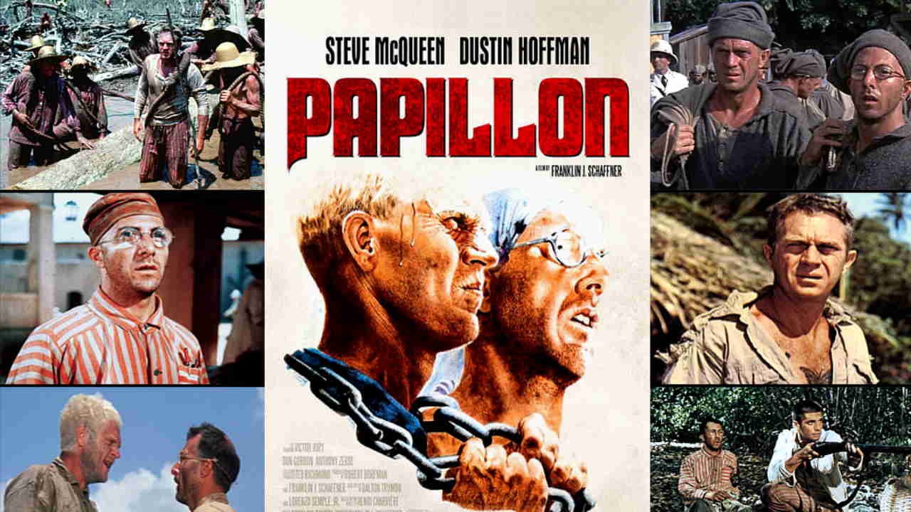 Papillon